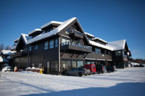 Perfect for Skiing and City Access